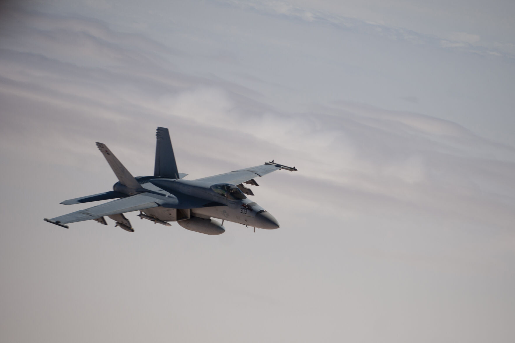 Navy F-18 Hornet